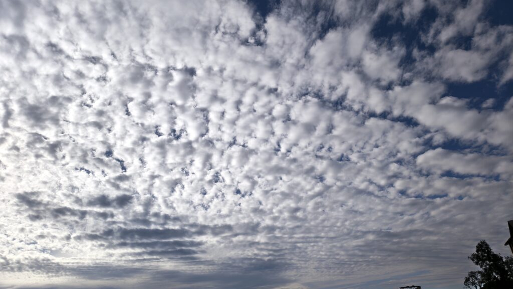 img 20260130 155031667 hdr