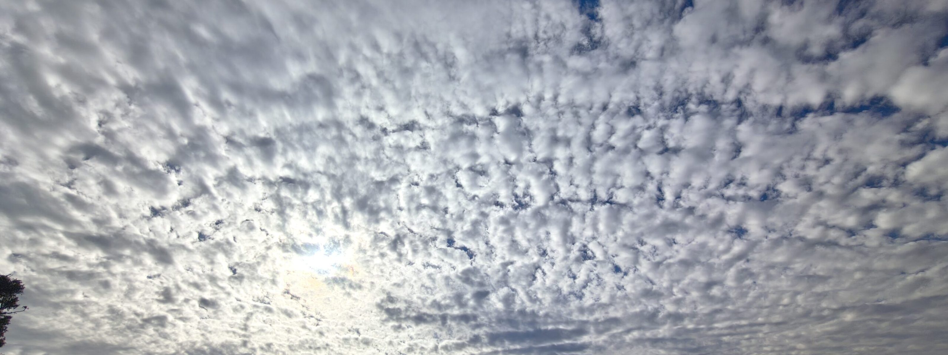 img 20260130 155132570 hdr